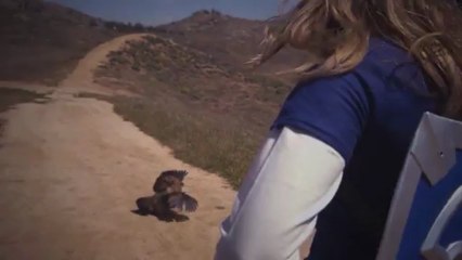 Totally Cucco:_ a Legend of Zelda Fan Film