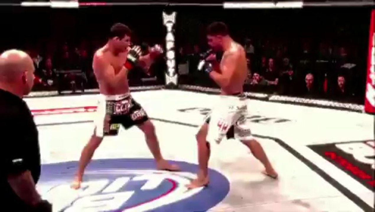 MMA Bisping 050613 SH final