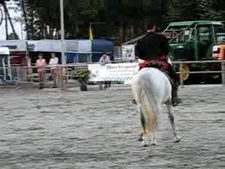 démonstration cheval