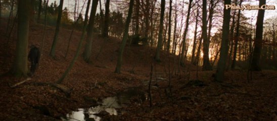 SanDuoiFix_clip8