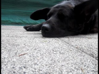 NOTRE PLUS JOLI MOIS DE JUIN ♥