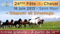 24e Fête du Cheval de Saint-Maur (Indre)