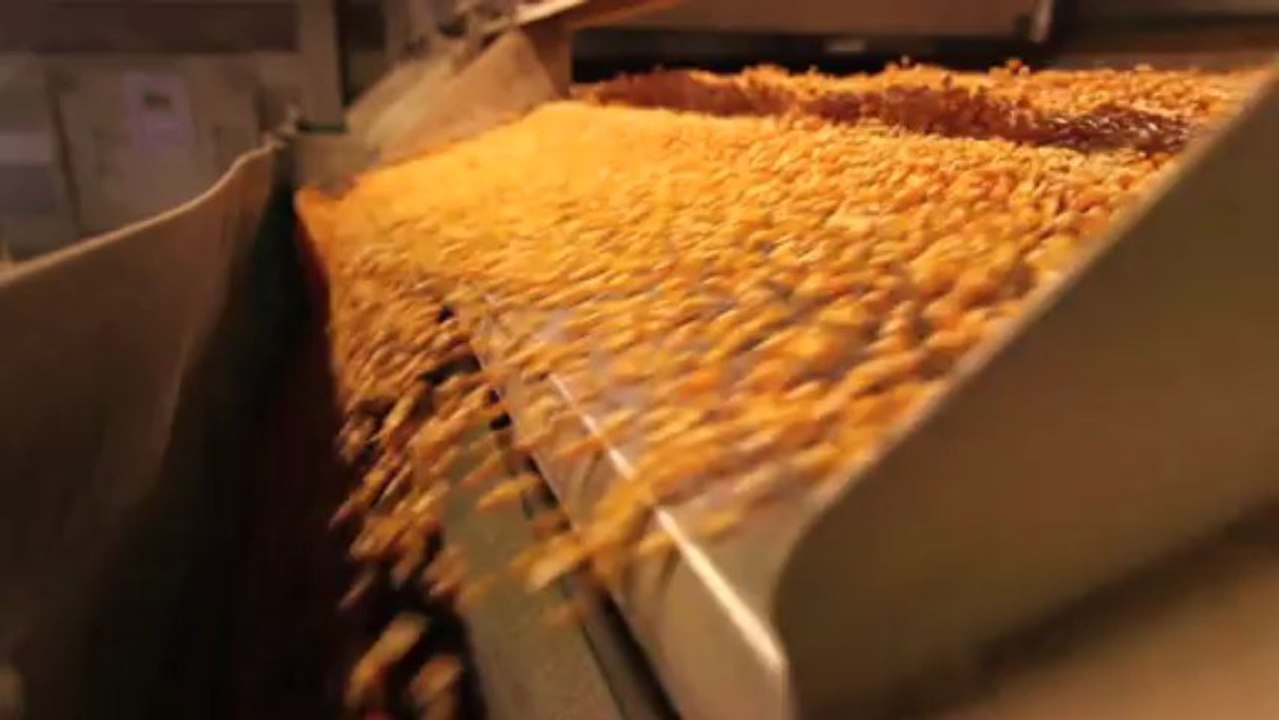 L'apprentissage dans l'industrie agro-alimentaire