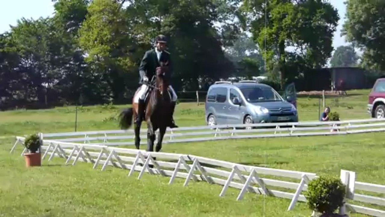 Ulmina dressage 5 an dolle de bretagne