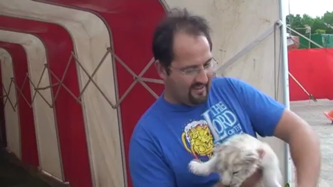 Bernabé y Mateo, dos leones blancos que nacen para dar esperanza a un circo