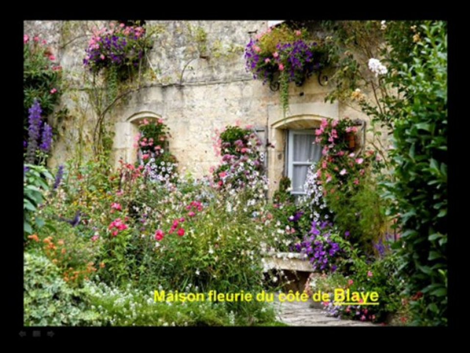 le Vignoble
