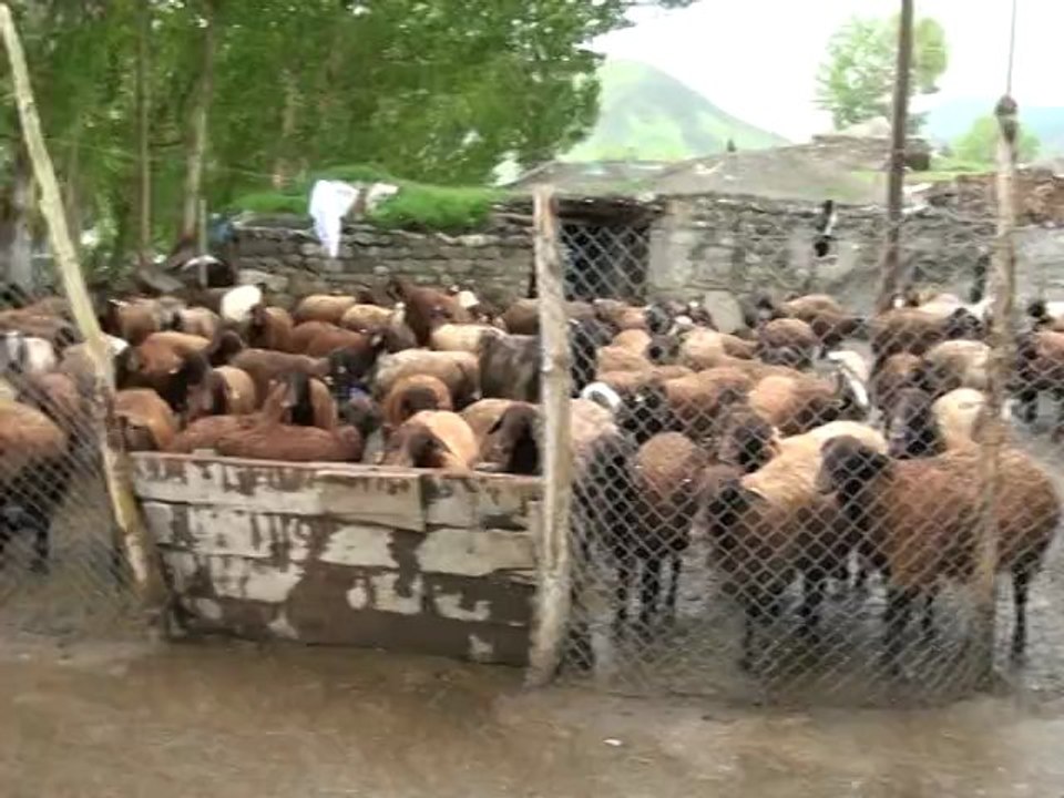 efe ağrı eleşkirt çat kösedağ köyünde