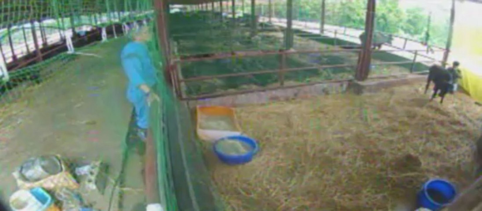 20130607　福ちゃん義足装着後　伊東先生、木野村さん