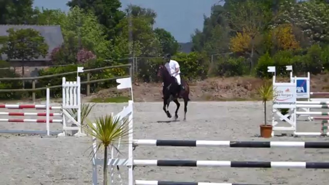 Ulmina 5 ans cso dole de bretagne