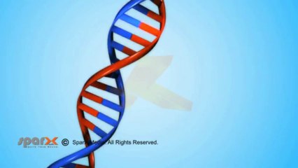 Intro - Bay Clinic Of Chiropractic_x264