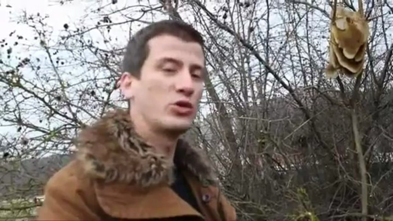 Kışın Altında Kovansız Olarak Arılar Bakın Nasıl Yaşıyor -  Soner GENEL