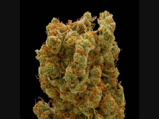 Baby Roll me up some Lamb Bread ''need my medicine''