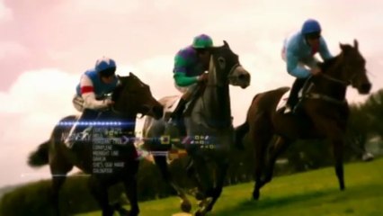 08.06.2013 Haydock (GB) Raceday Large