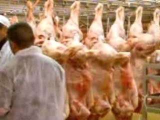 Reportage 20 Minutes à Rungis