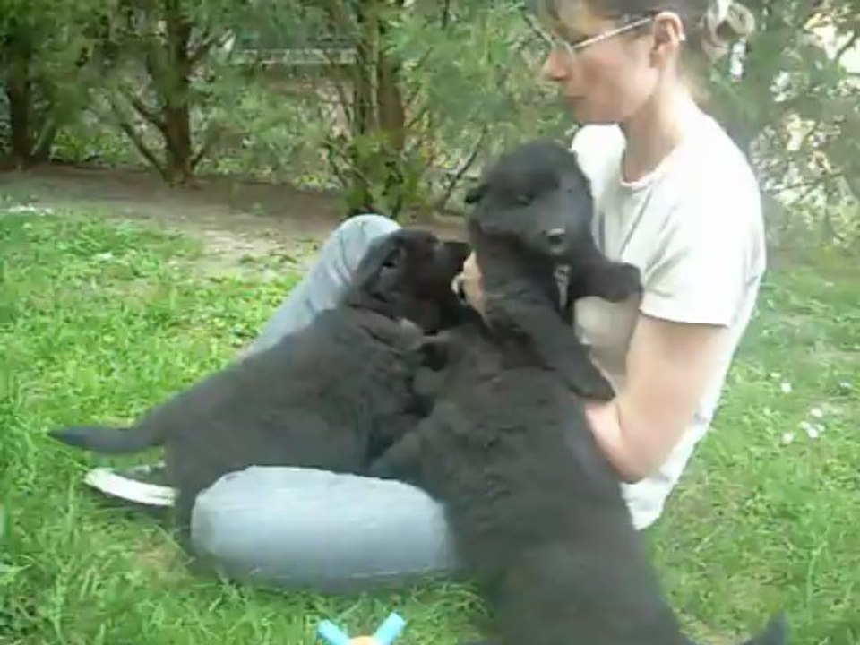 6 juin (4) : bleue, blanc, rouge, marron