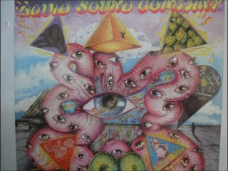 Liquid Sound Company"Golden Gate 67"{HQ}1996 Texas Psych Rock