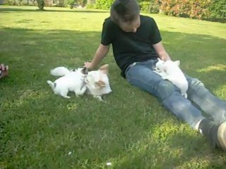 6 juin 2013 (1) : avec Cathy et Adrien