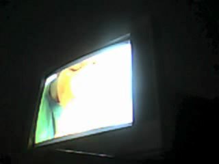 We are opening the party!(3)