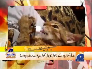 Geo Dost-08 Jun 2013