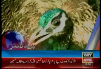 Headlines-1600-Sunday-June-09-2013