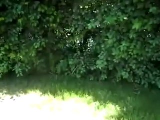 Tartaruga VTEC: Desempenho e Tecnologia