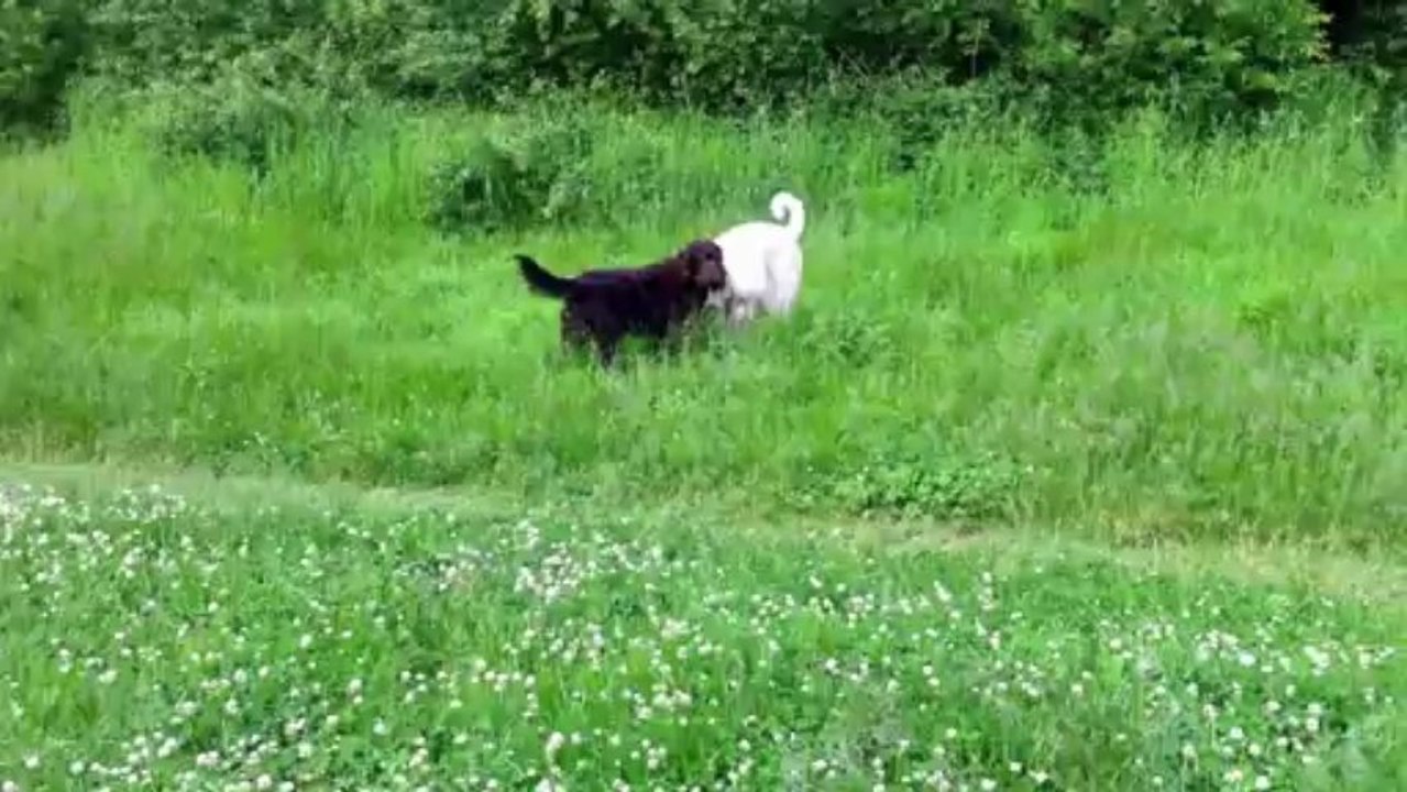 Albert & Caya auf der „Rodelbahn“ im Grunewald
