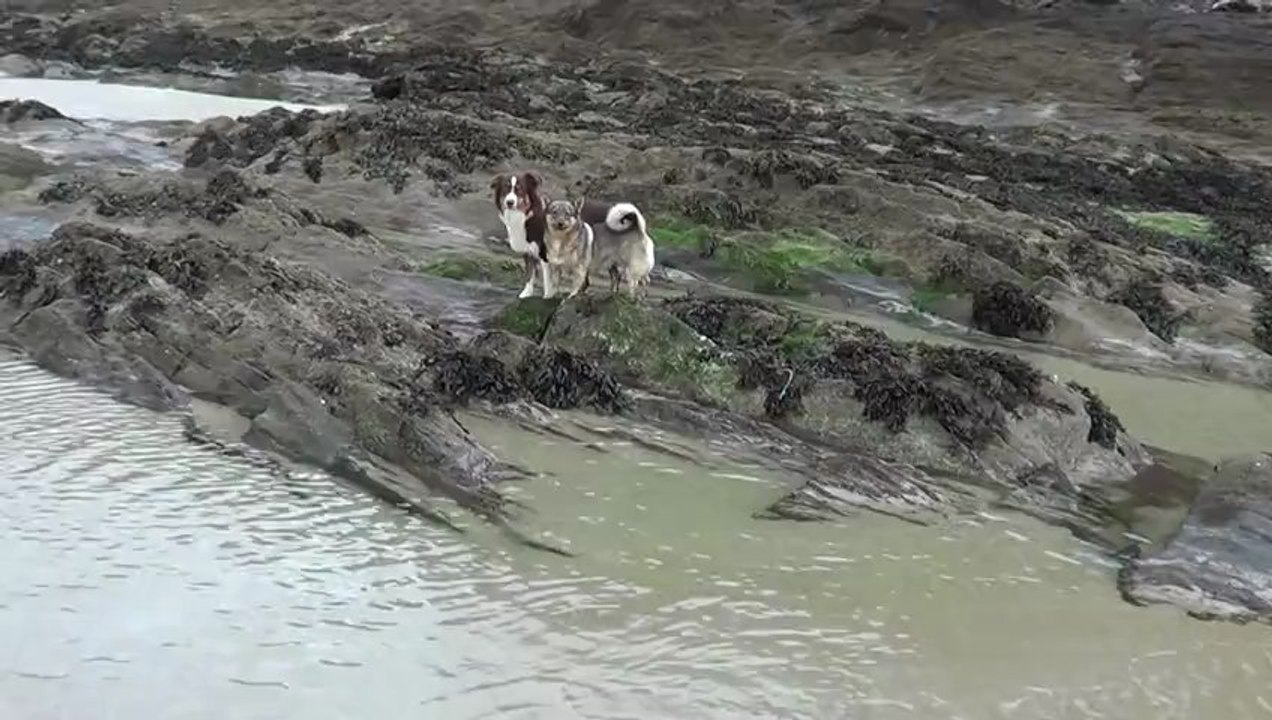 Boom, Démon et Gioia à la plage