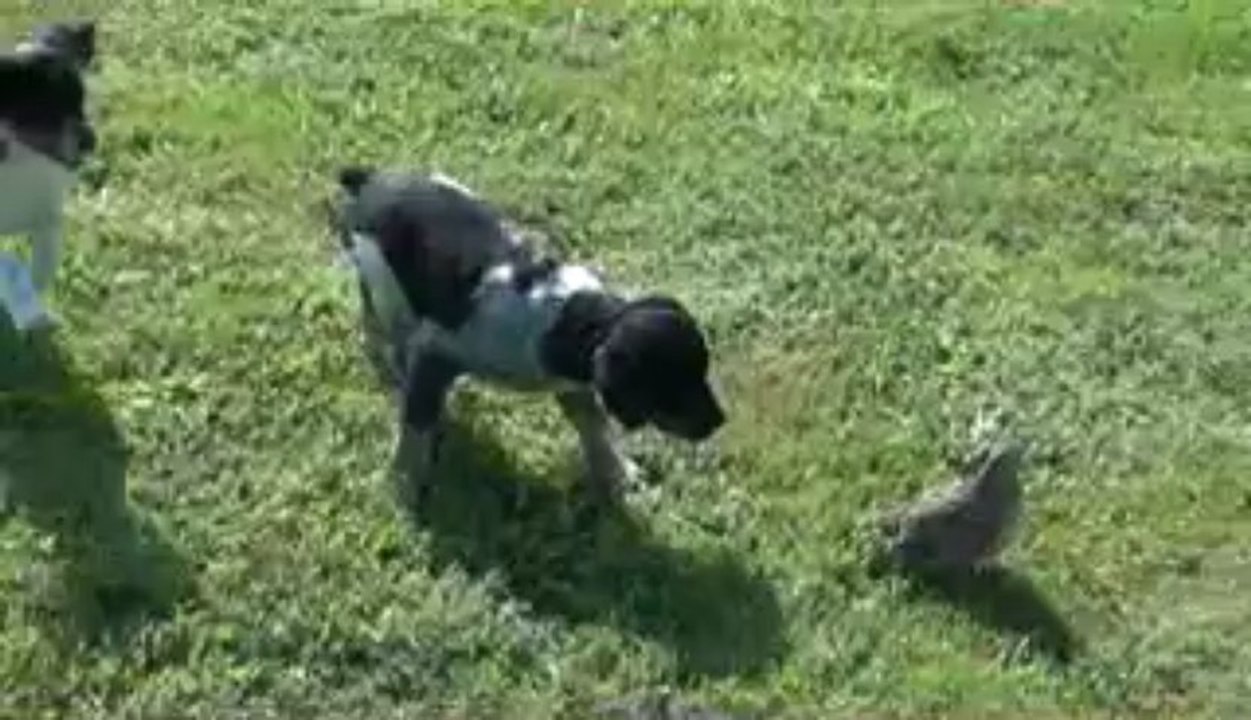 iros du clos de la passion