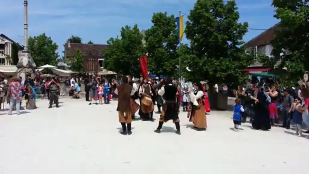 Médiévales de Provins 2013