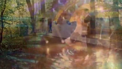 ACCORDEON  *** DOMINO *** VALSE