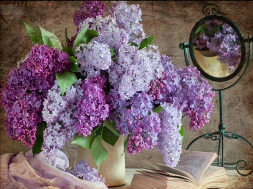 pour le plaisir des Yeux