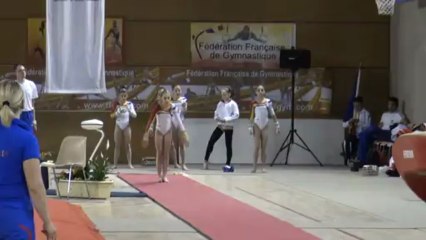 FFGYM - Diana Teodoru (ROU), 2013 Match France-Roumanie, Saut