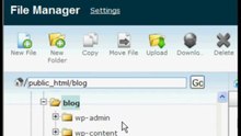 Installing Wordpress with cPanel to GVO's WHM using Softaculous software - Video