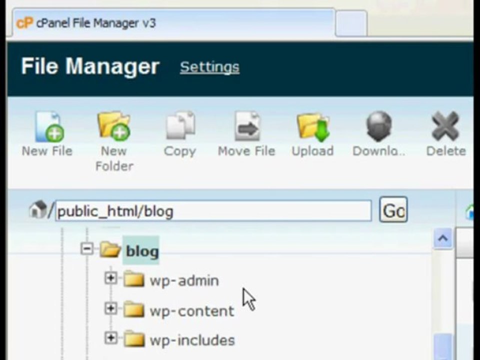 Installing Wordpress with cPanel to GVO's WHM using Softaculous software - Video