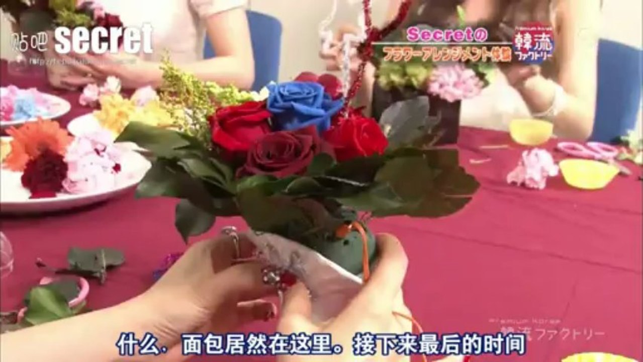 [百度secret吧制作]【中字】120831 Secret Cut @ 韩流梦工厂