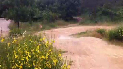 ERevo Brushless Edition - Summit Dewalt