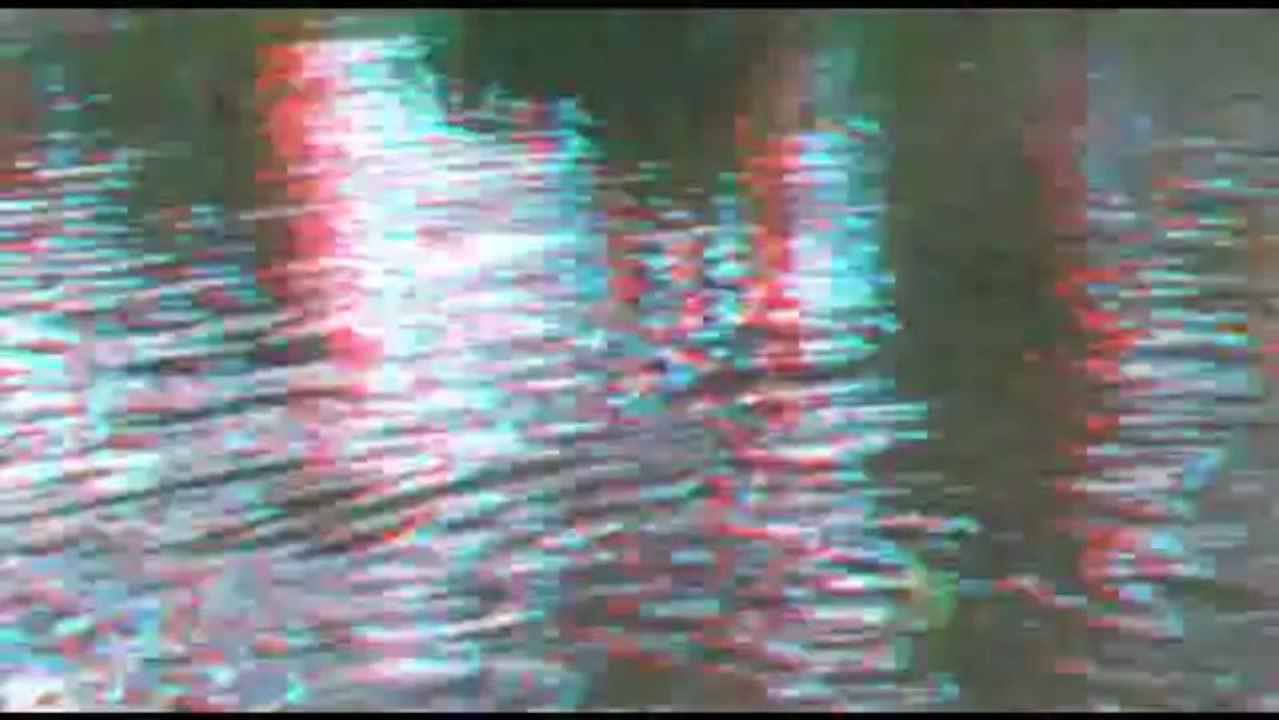 La Citadelle,de Lille- 3D-HD Réady