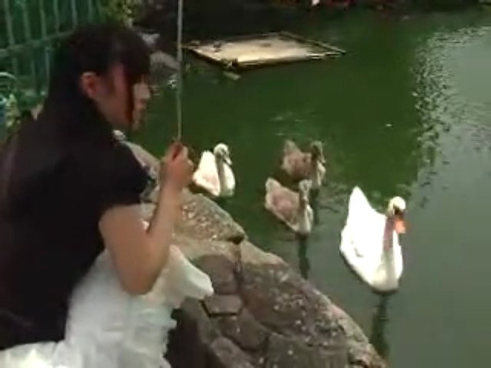 新谷良子のいつでも☆いっしょ!　あらかわ遊園編