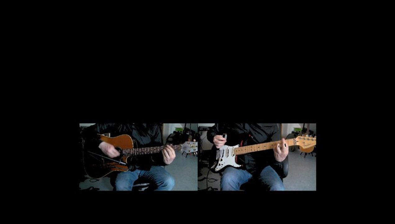 HF THIEFAINE - Syndrome albatros (Cover)