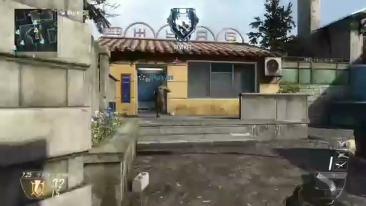Black Ops 2 Team Combat Axe #7 - 33-10 KD - Exams