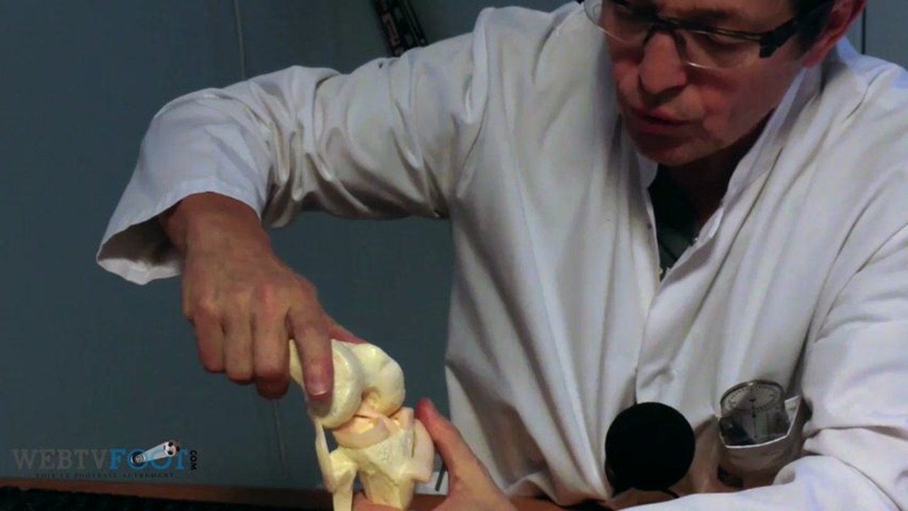 Présentation du ligament croisé du genou (1/3) - A la rencontre de la blessure