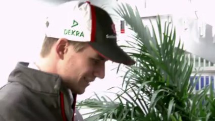 F1 show - Horse Power Tower - Sauber