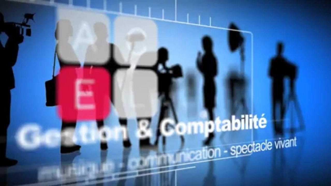 Expert comptable - Création Artistique