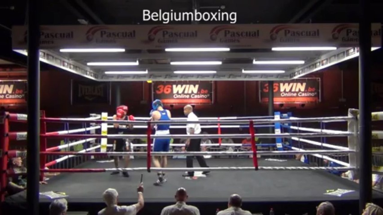 Hammaydeh A. vs Rosescu V.(08-06-2013)