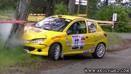 Rallye du Pays Viganais 2013 by keulvideo.com