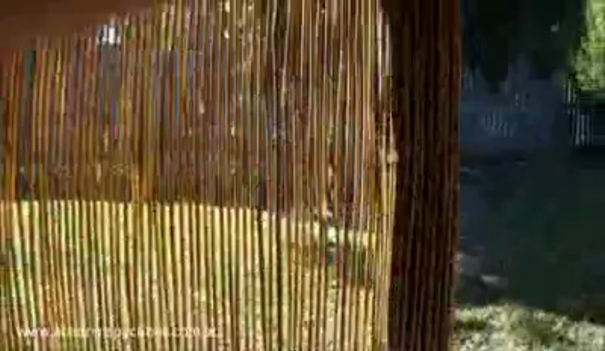 Poor Patio Construction - Building Inspections Brisbane