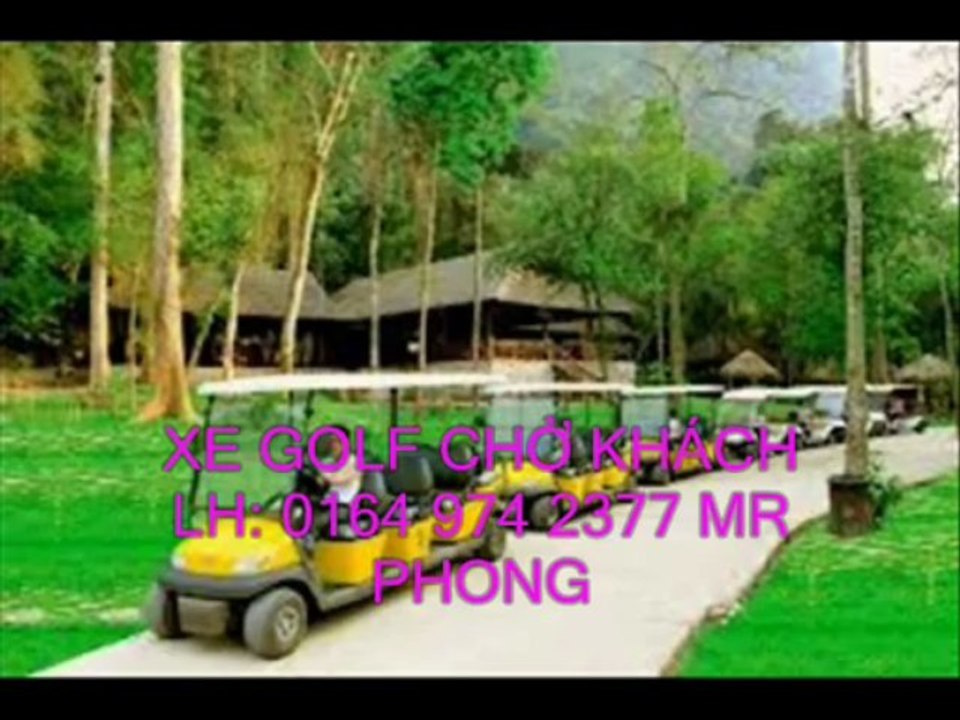 xe điện chở người bệnh , xe điện sân golf 2 chỗ , xe điện chở khách 10 chỗ , xe ô tô điện