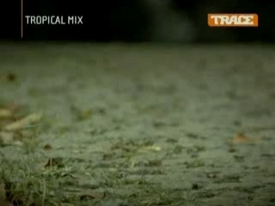 Perle lama emmene moi