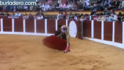 GRAN TARDE DE TOROS EN PLASENCIA