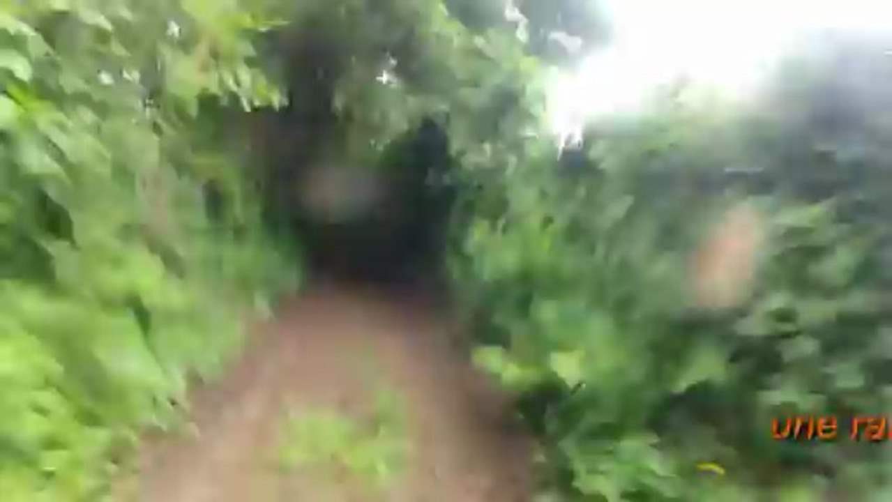 moncoutant 09.06.2013